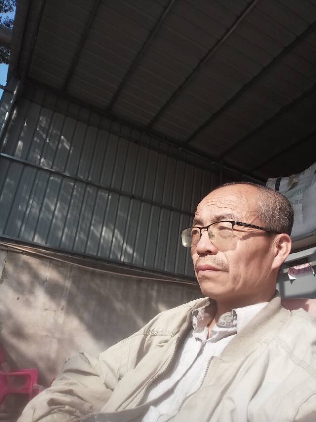 找生活老伴搭子