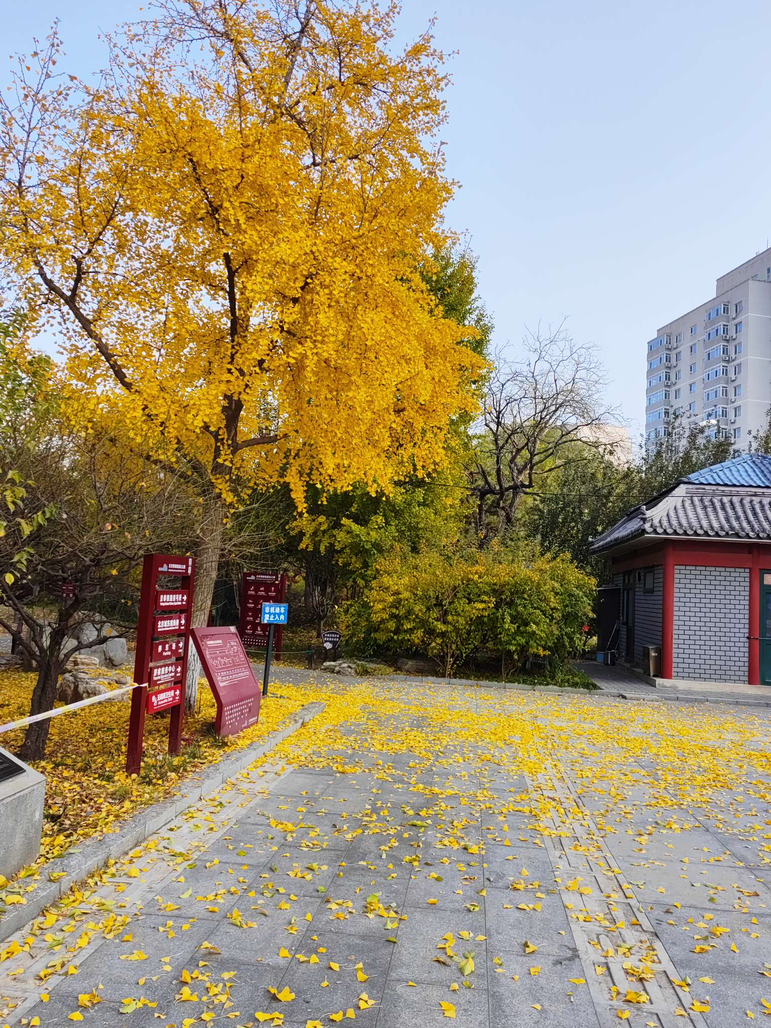 找户外老伴搭子