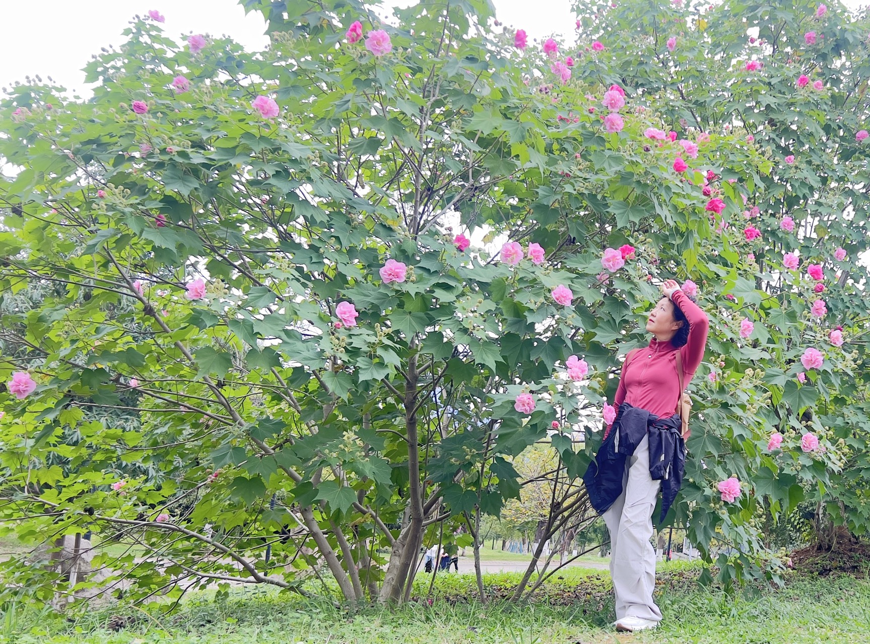 找本科以上有内涵有老伴搭子