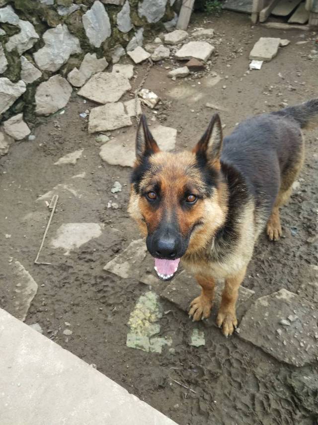 找运动老伴搭子