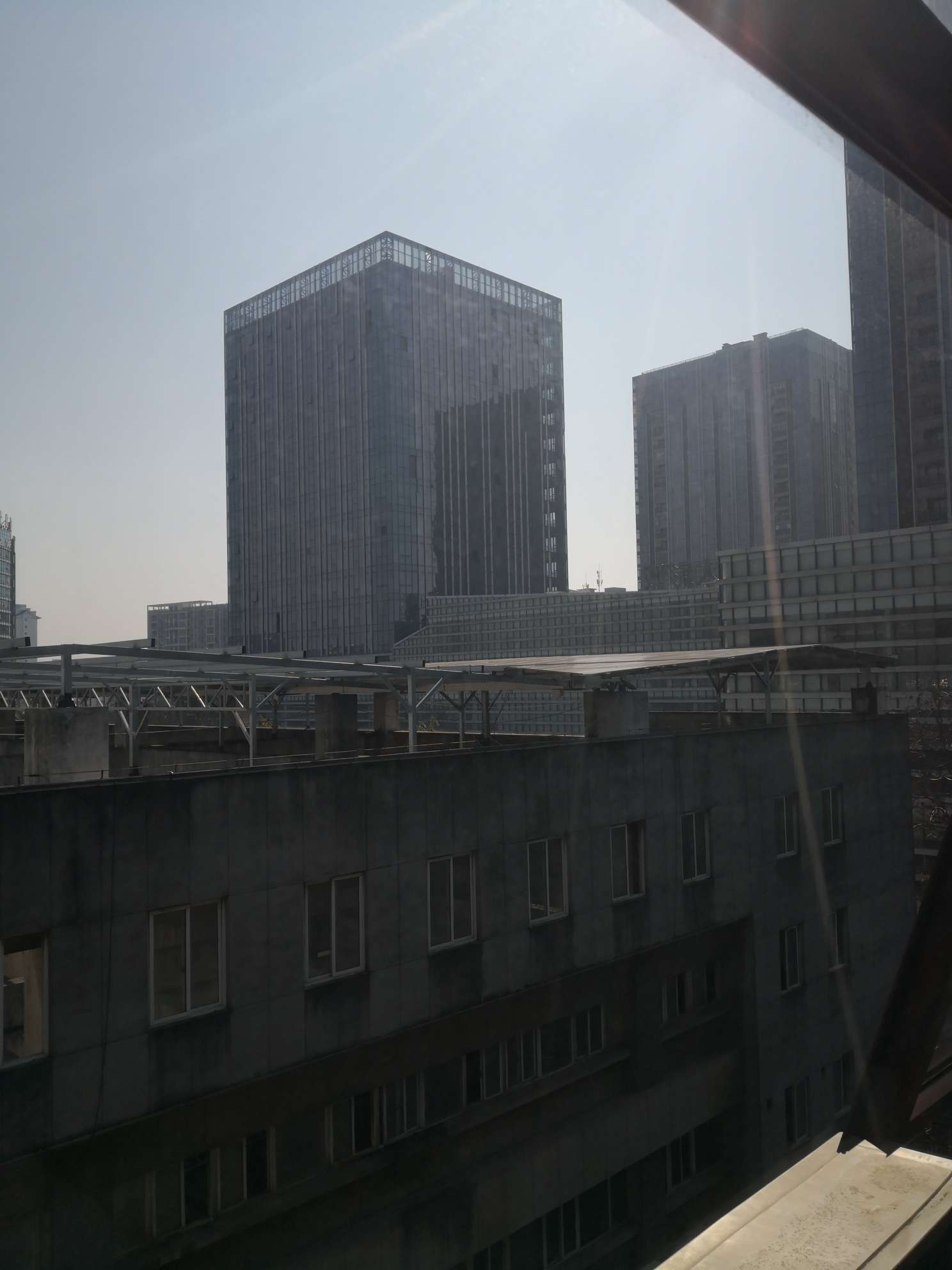 找散步老伴搭子