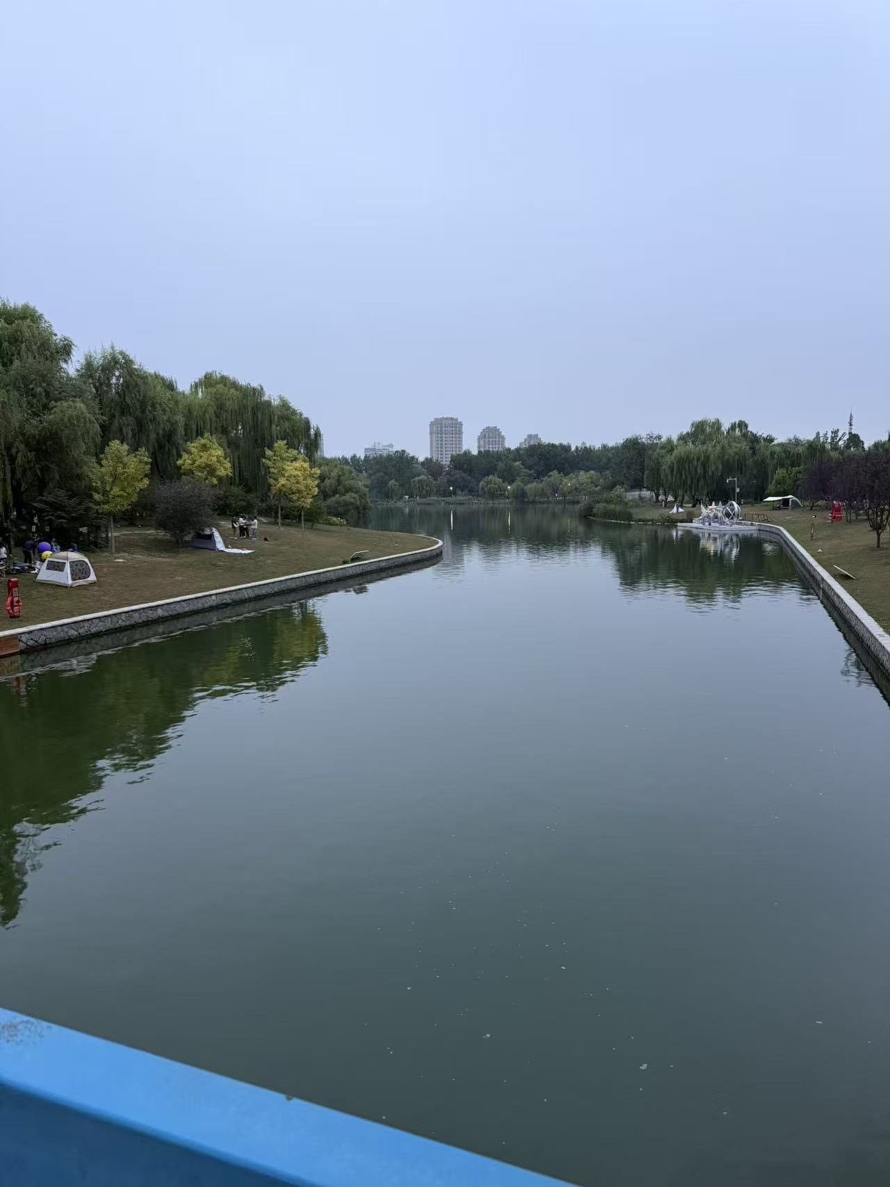 找快乐老伴搭子