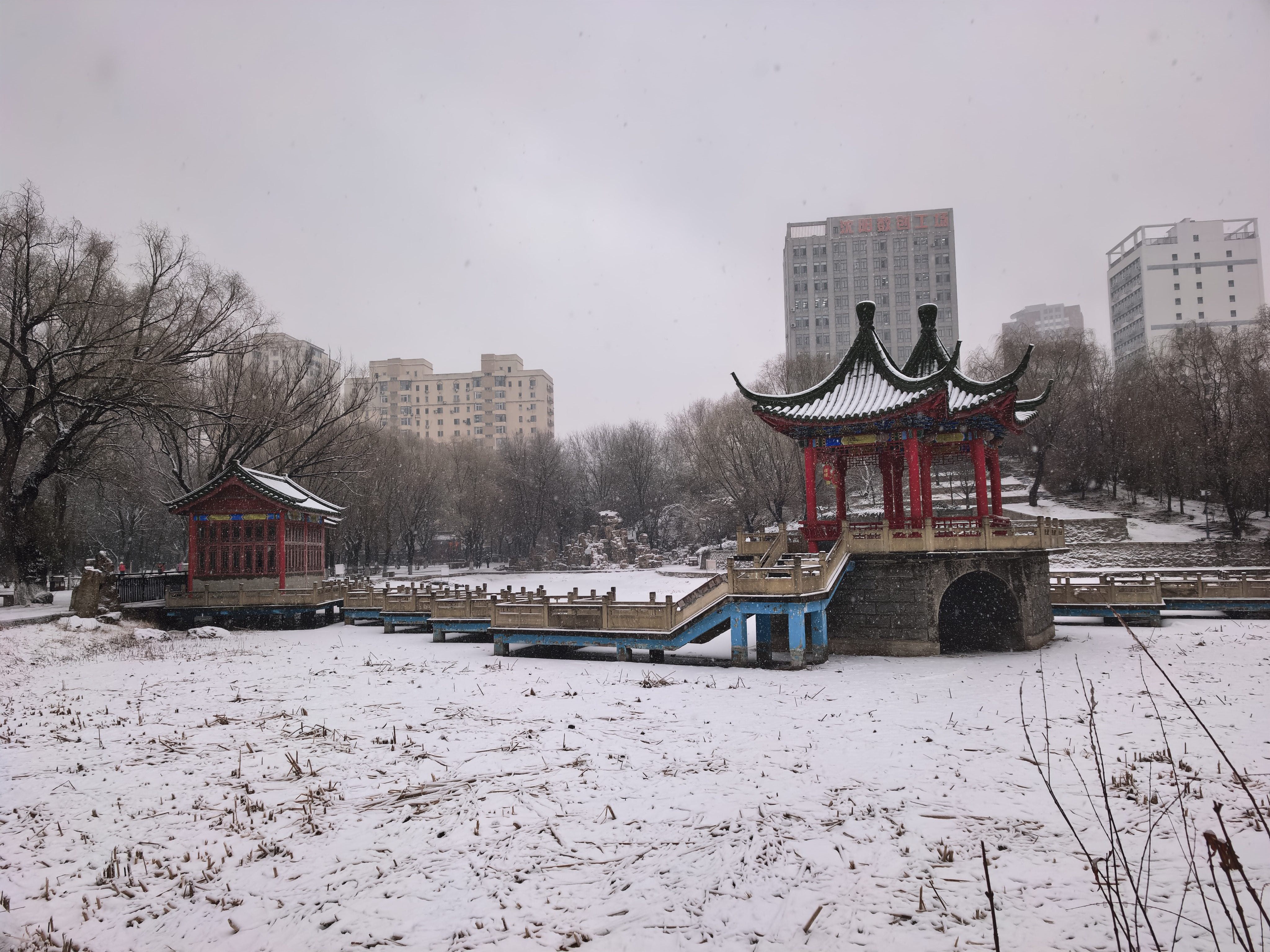 找摆烂老伴搭子