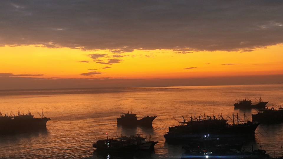 找逛衔老伴搭子