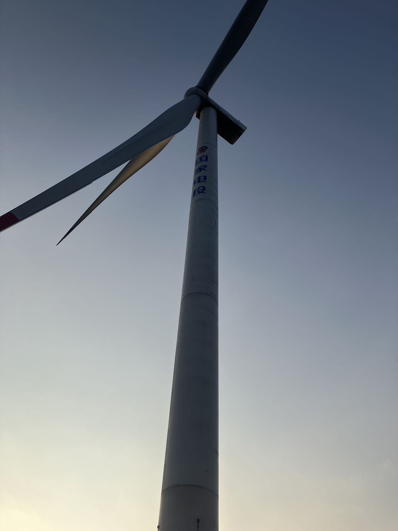 找跳舞老伴搭子