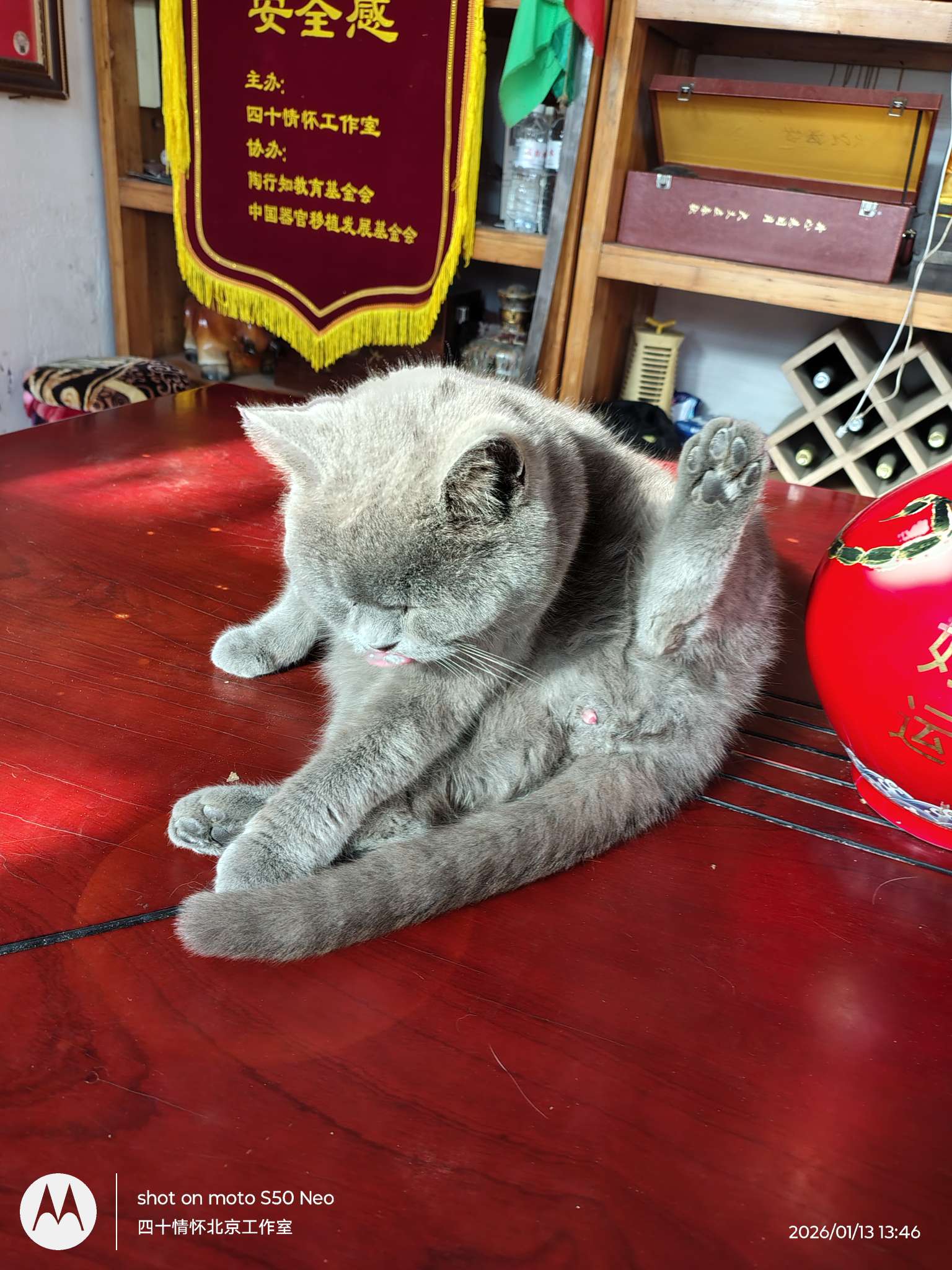 找早起老伴搭子