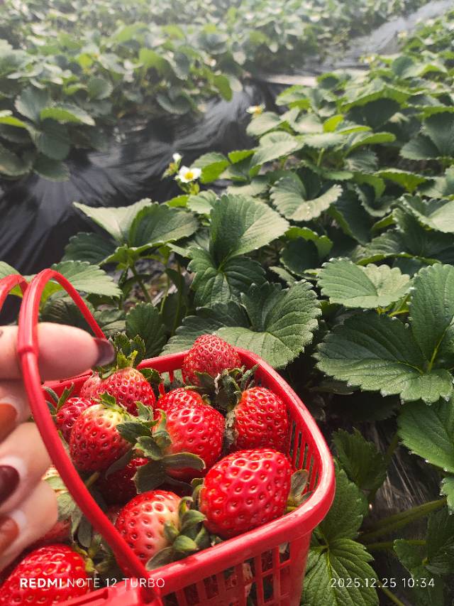 找健身运动老伴搭子