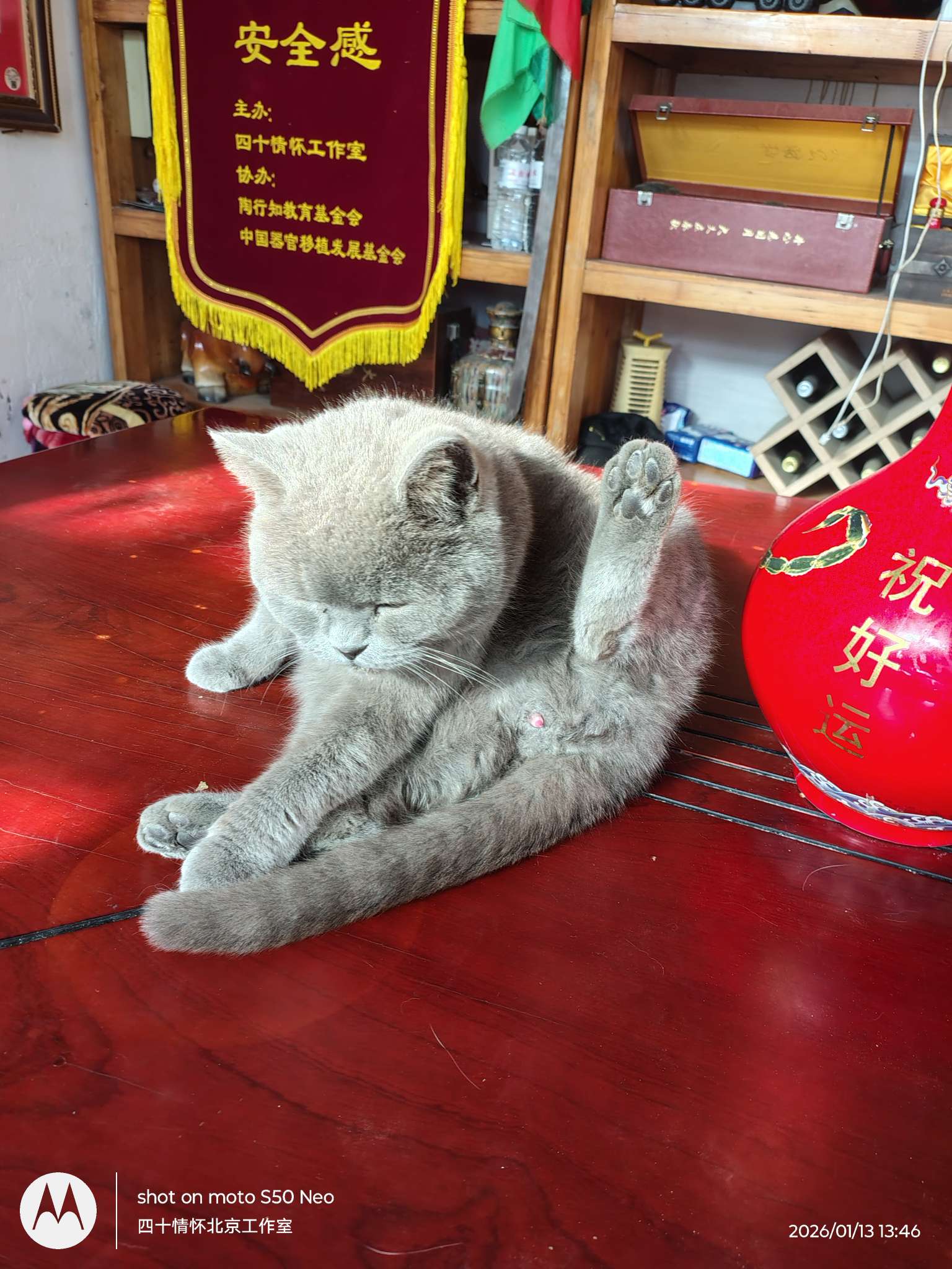 找感悟老伴搭子