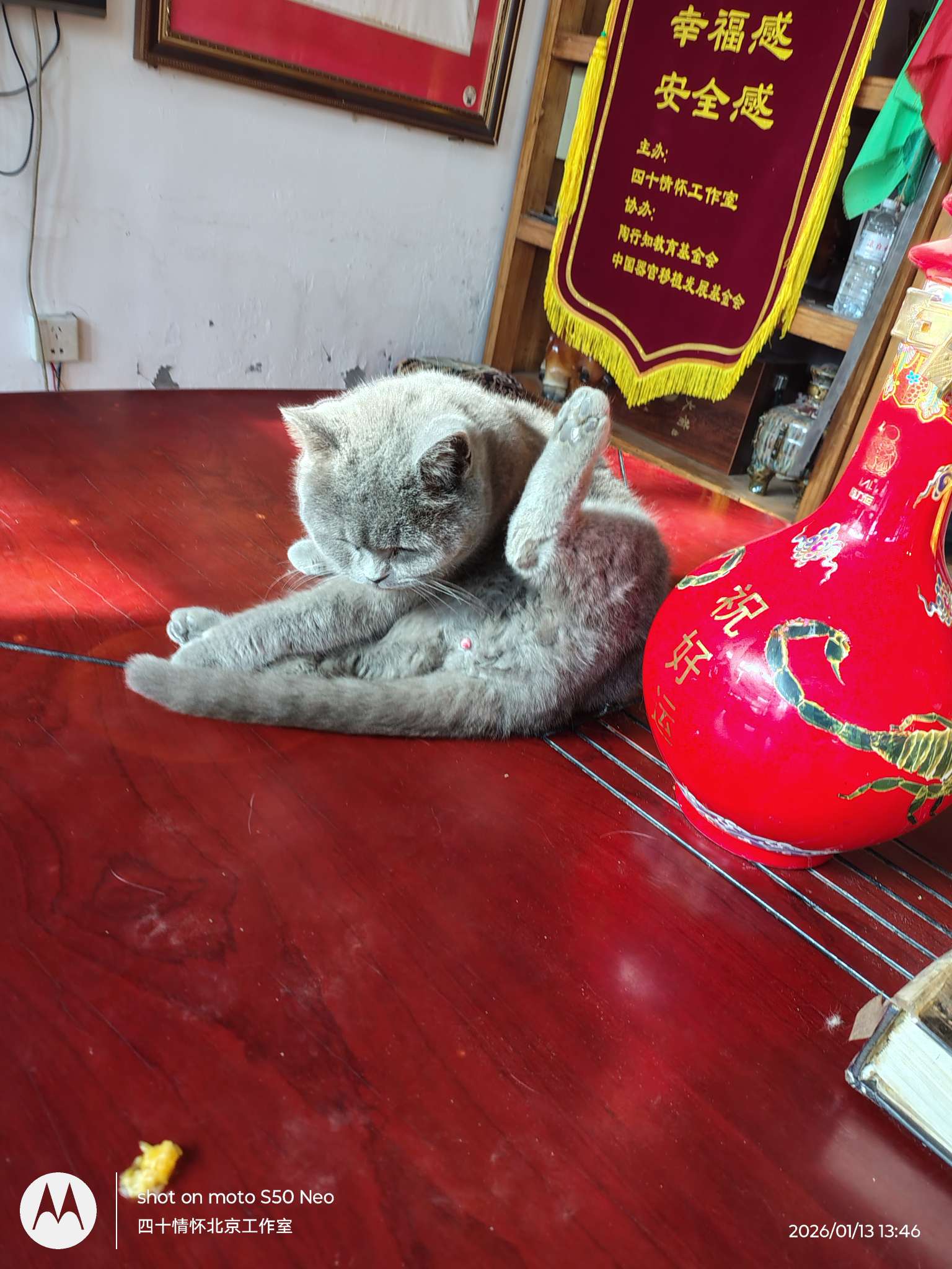 找感悟老伴搭子