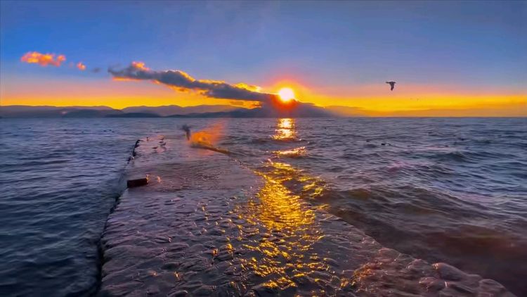 找生活老伴搭子