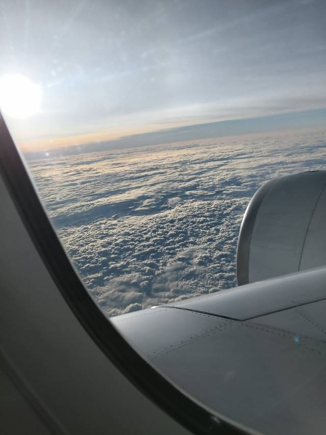 找旅行老伴搭子