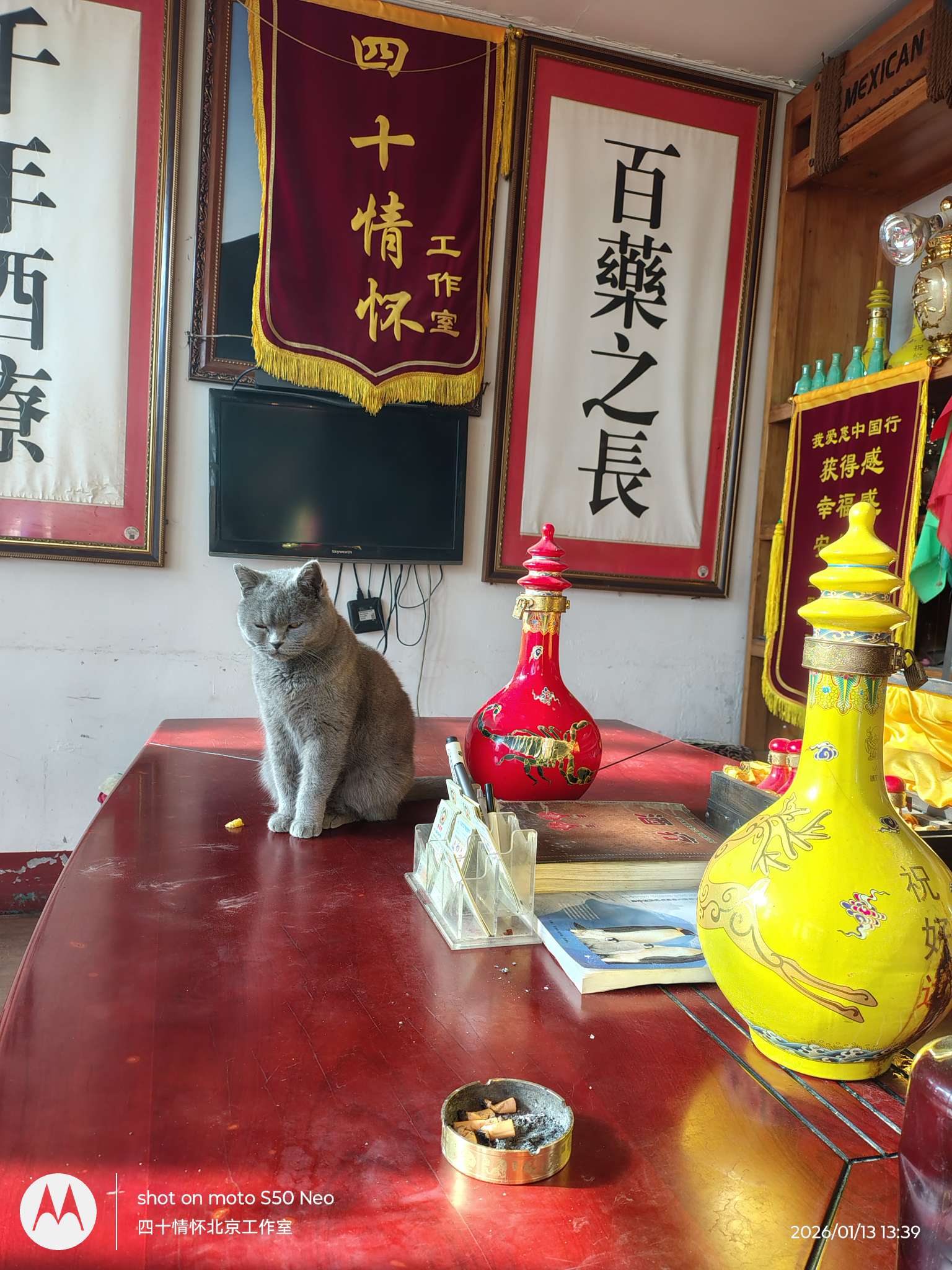 找喜欢吃饺子老伴搭子