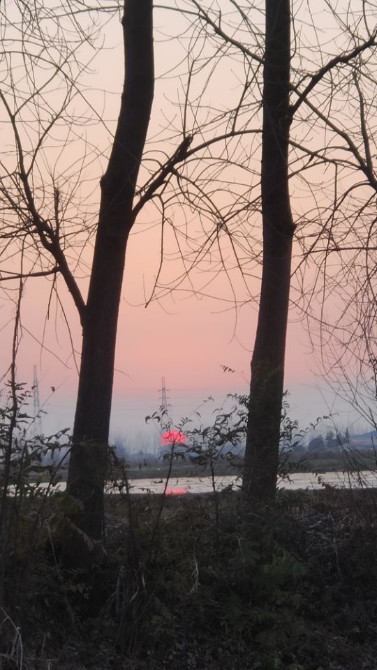 找休闲老伴搭子