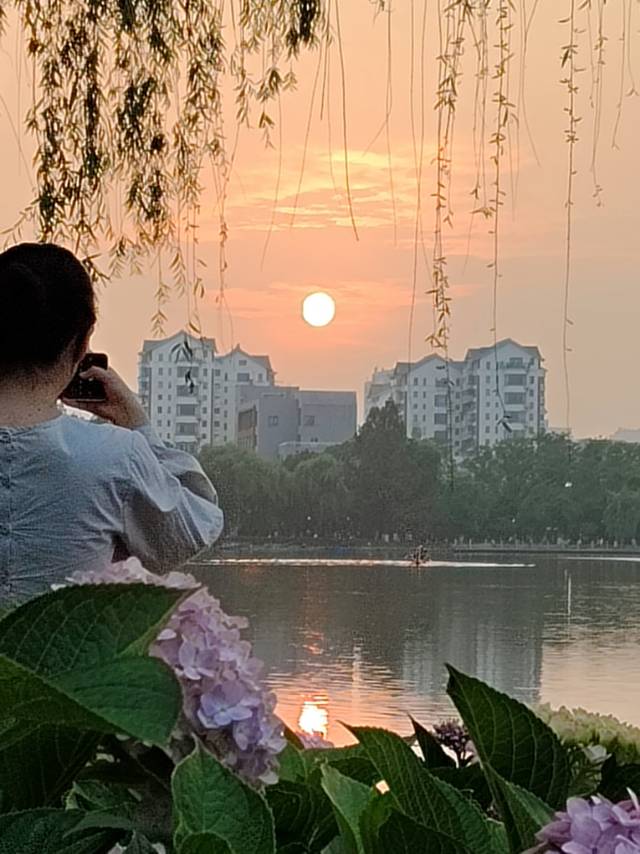 找喝茶老伴搭子