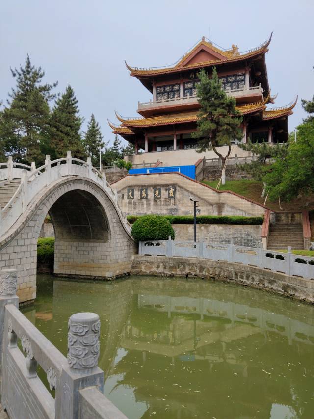 找喝茶老伴搭子