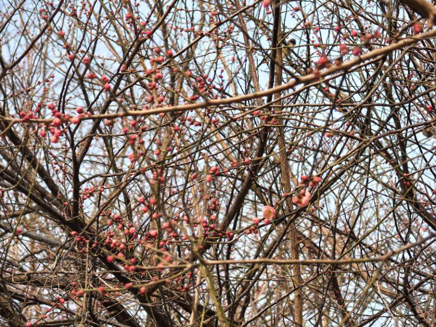 找聊天散步老伴搭子