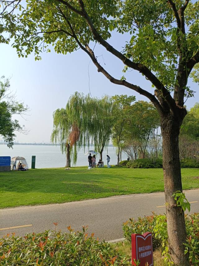 找生活伴侣老伴搭子