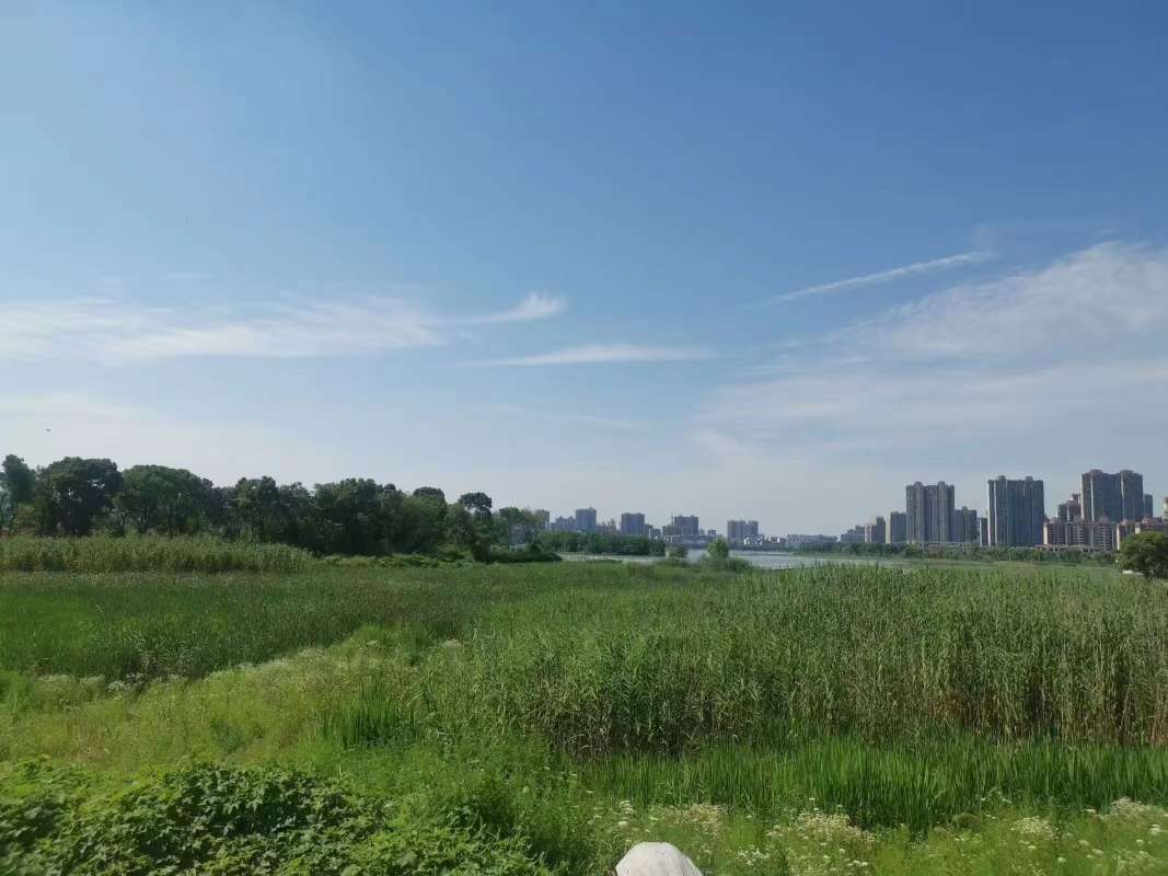 找聊天老伴搭子