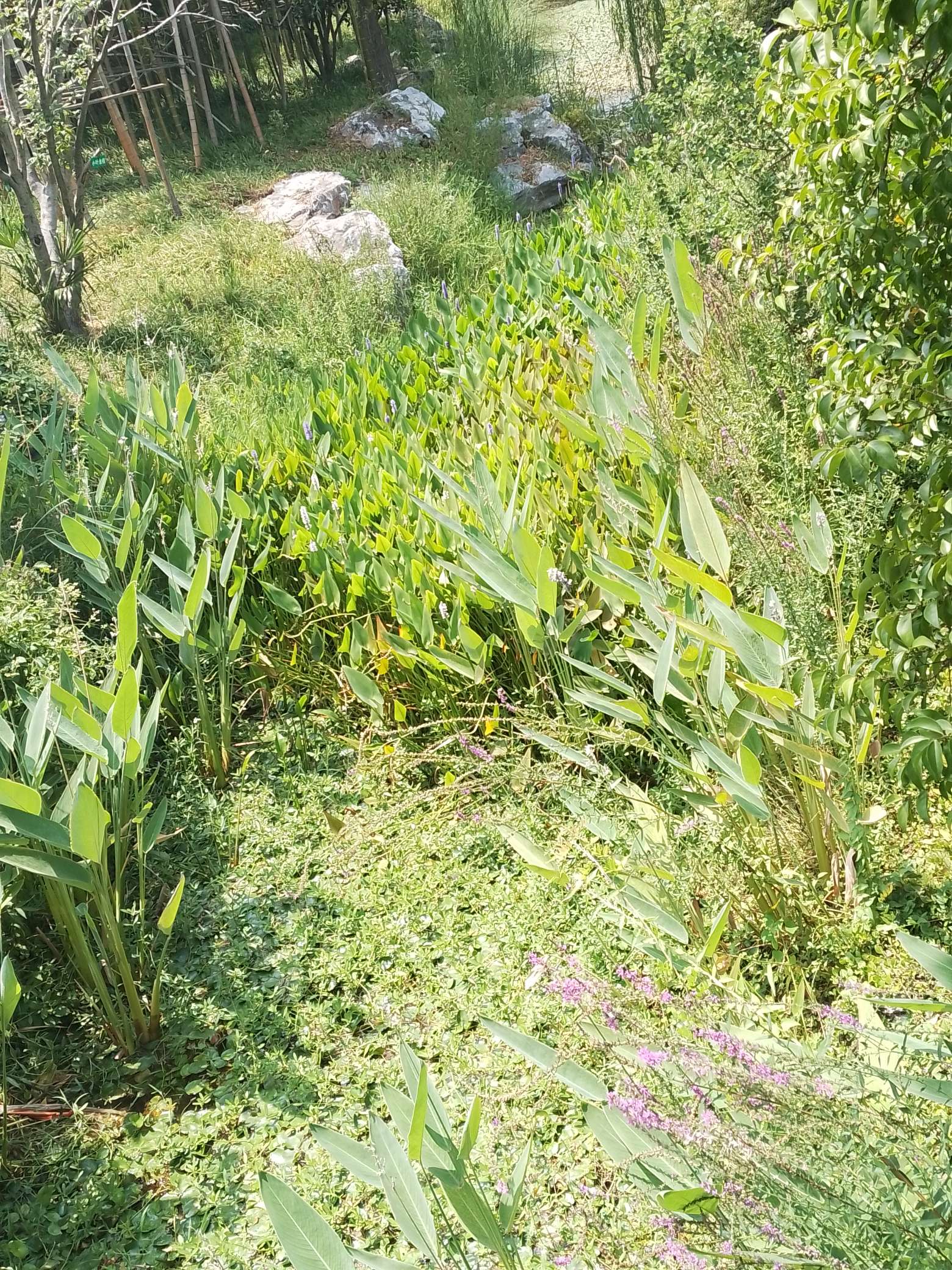 找散步老伴搭子