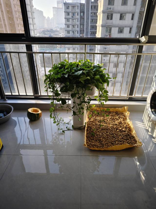 找运动老伴搭子