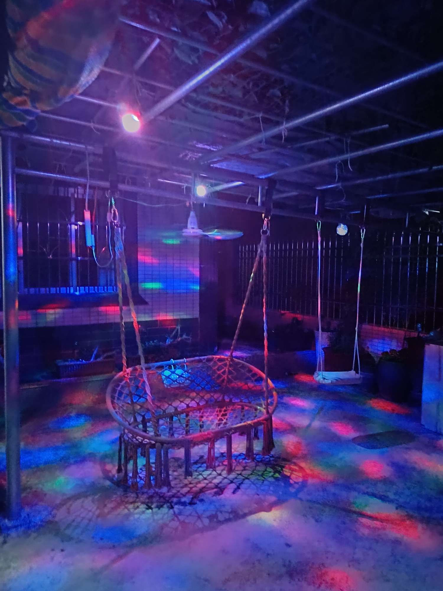 找聊天老伴搭子