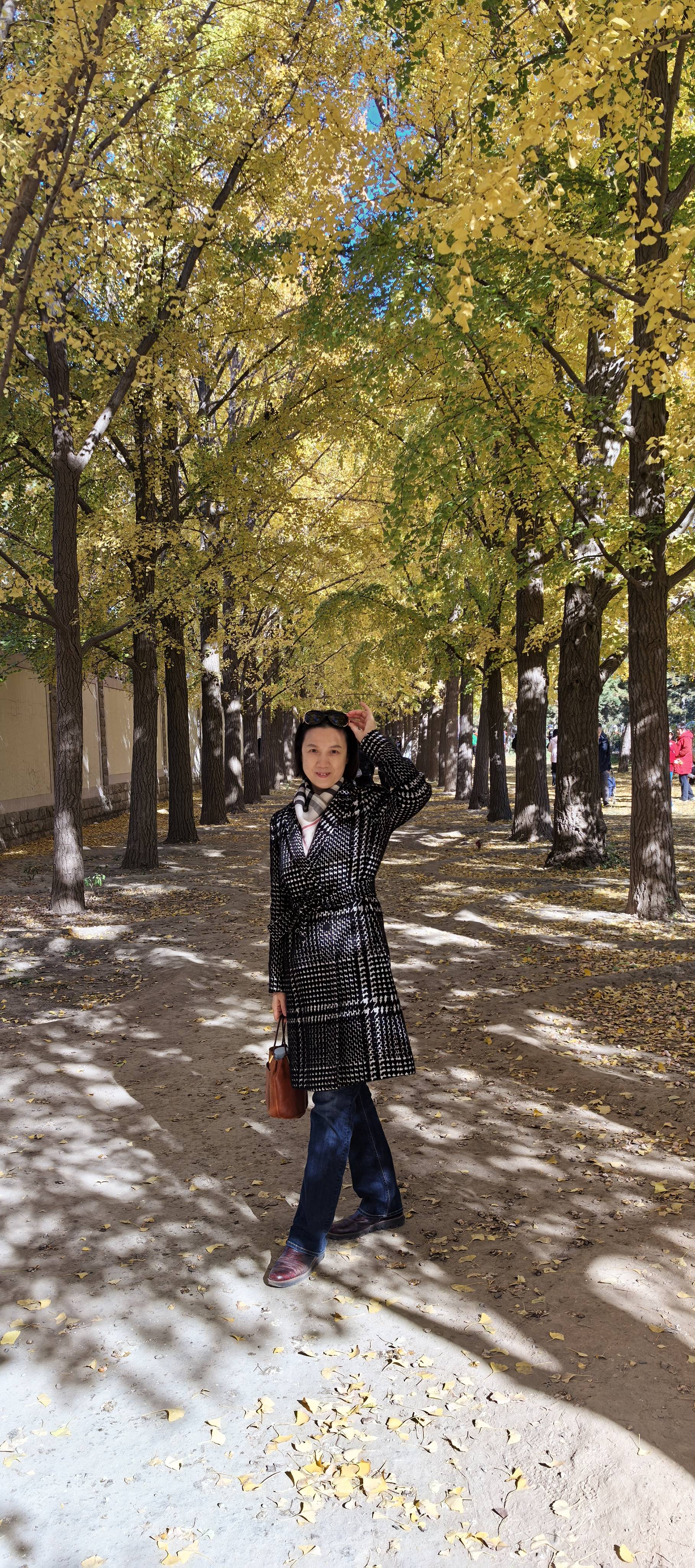 找性格良好有教养的老伴搭子