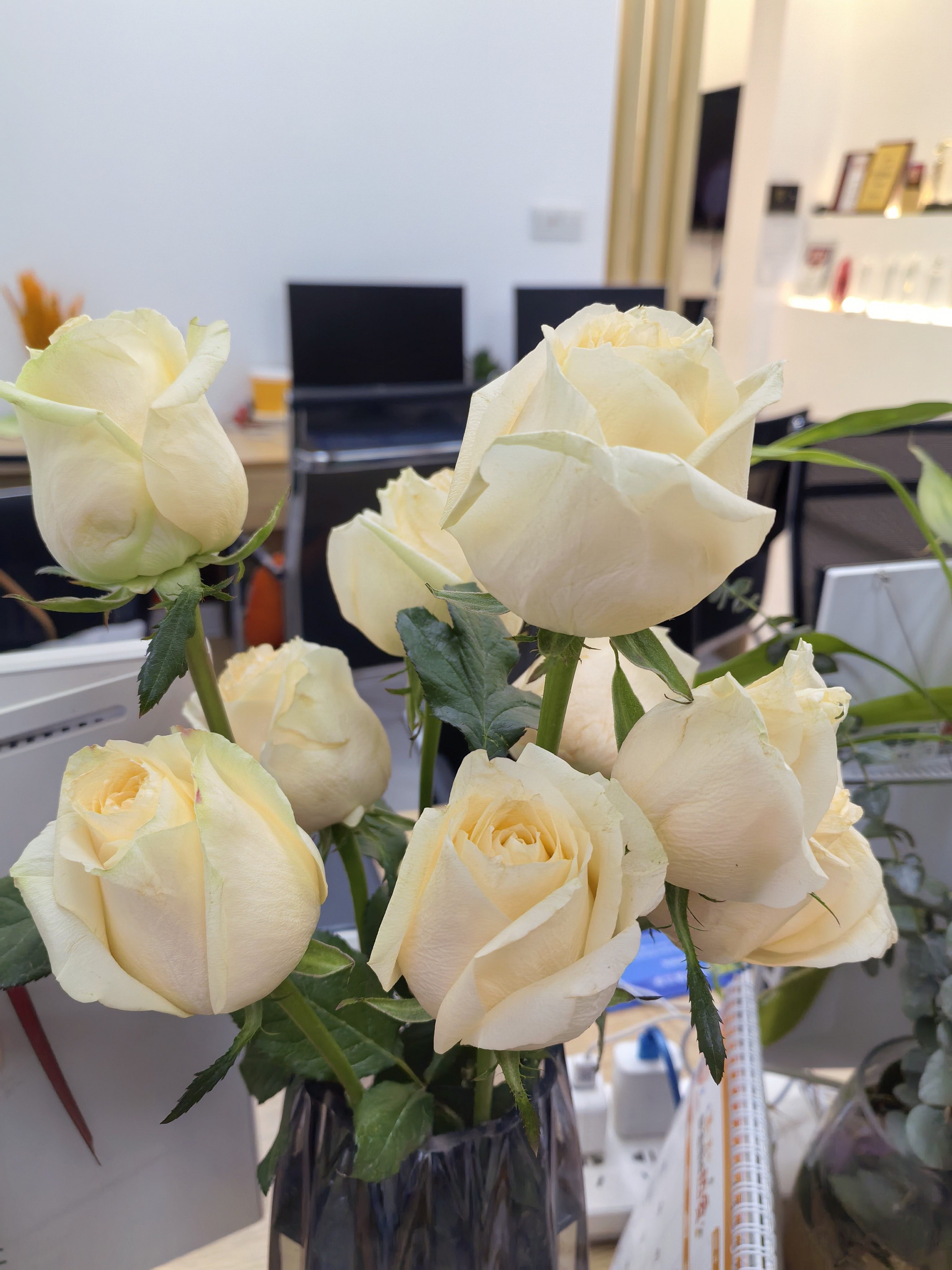 找生活老伴搭子