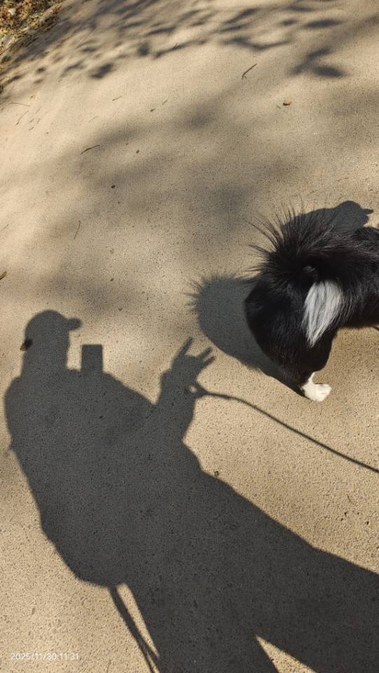 找开朗好动的老伴搭子