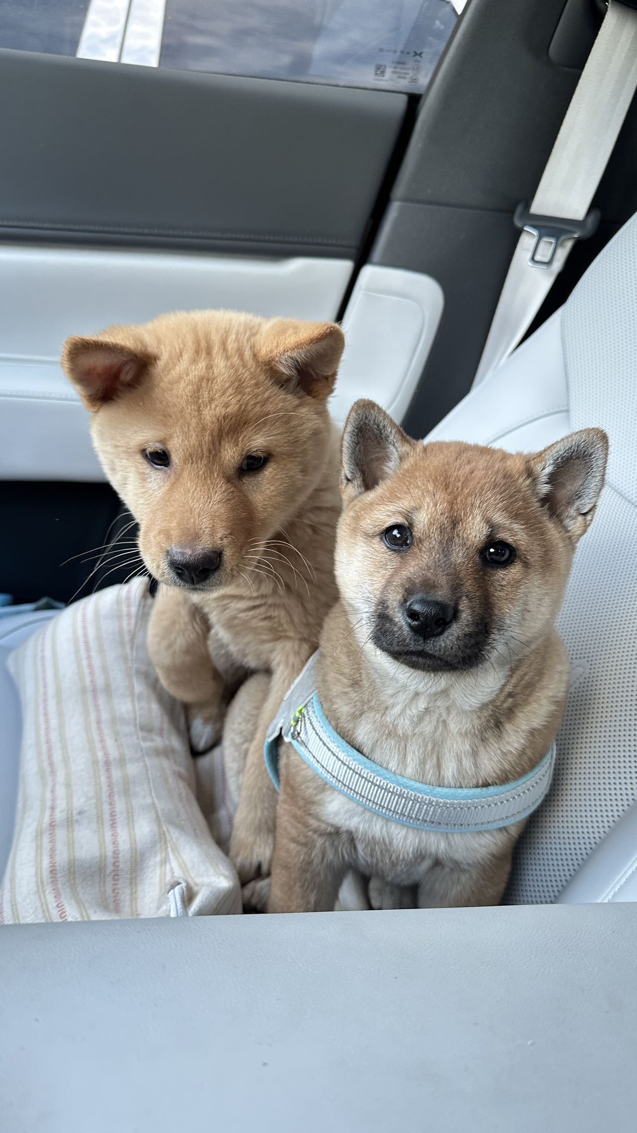 找时间自由老伴搭子