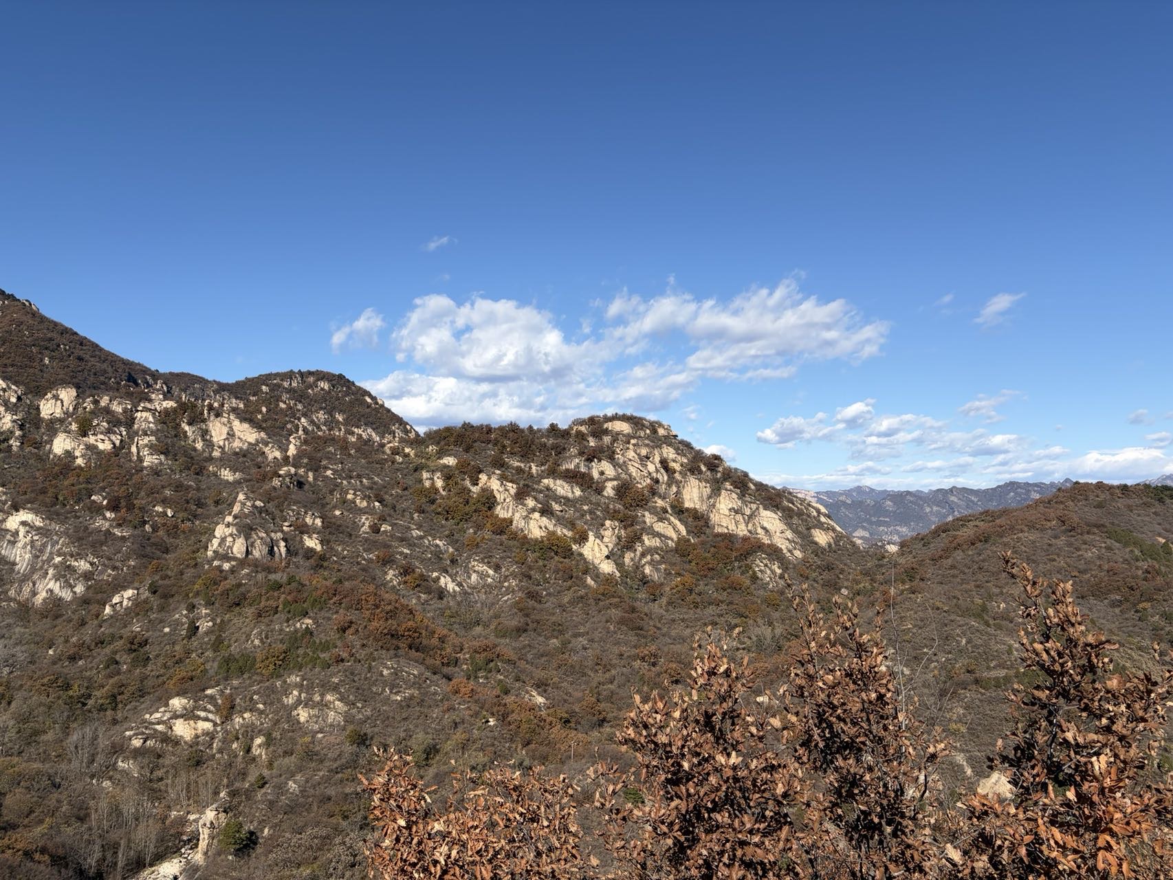 找吃饭聊天老伴搭子