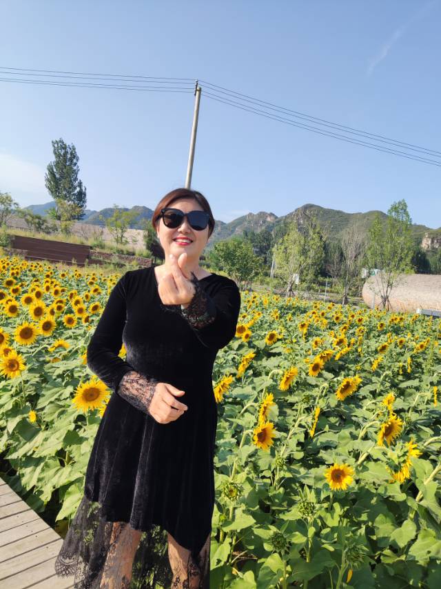 找生活老伴搭子