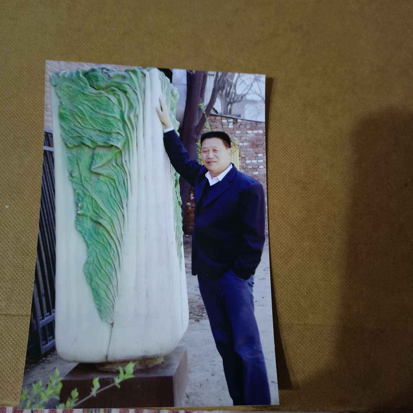 找过日子老伴老伴搭子