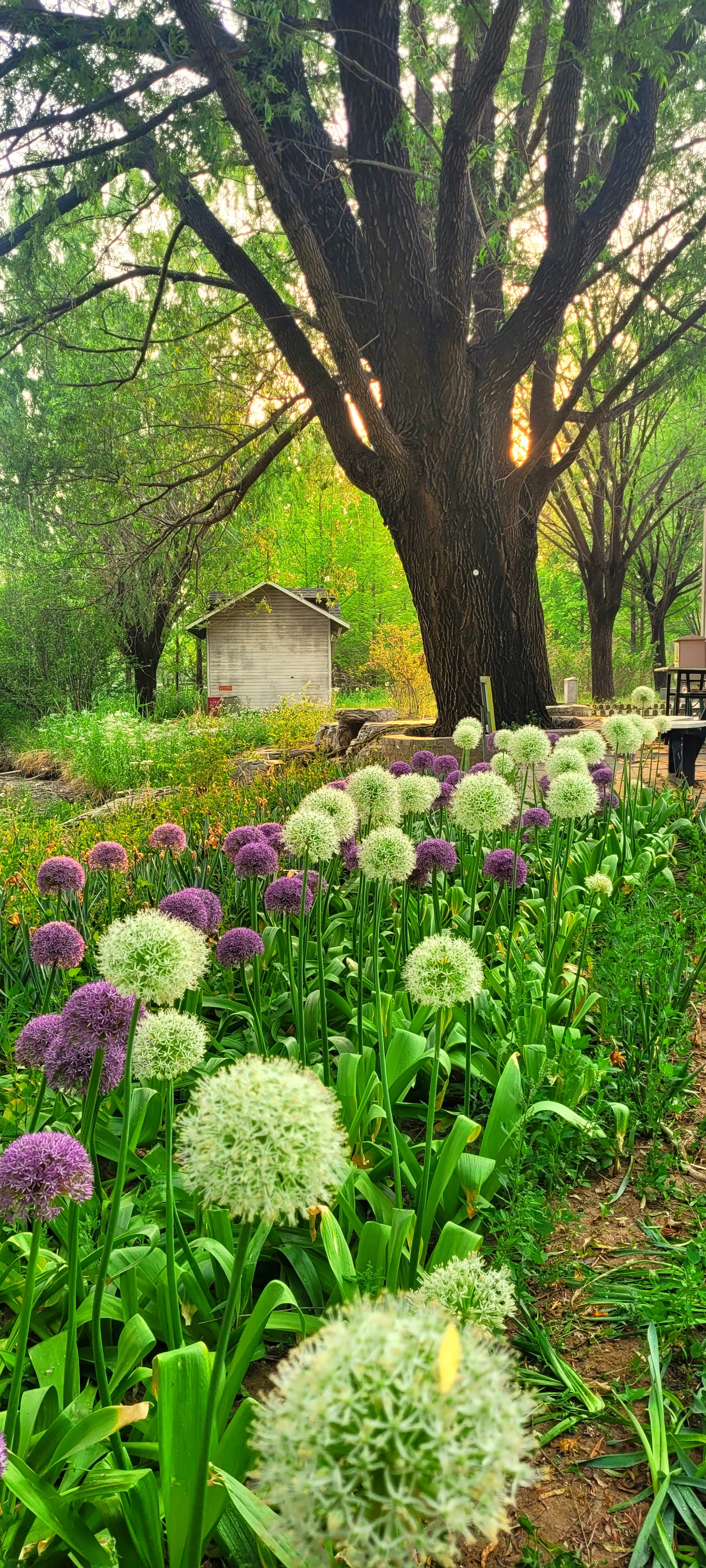 找旅游休闲老伴搭子