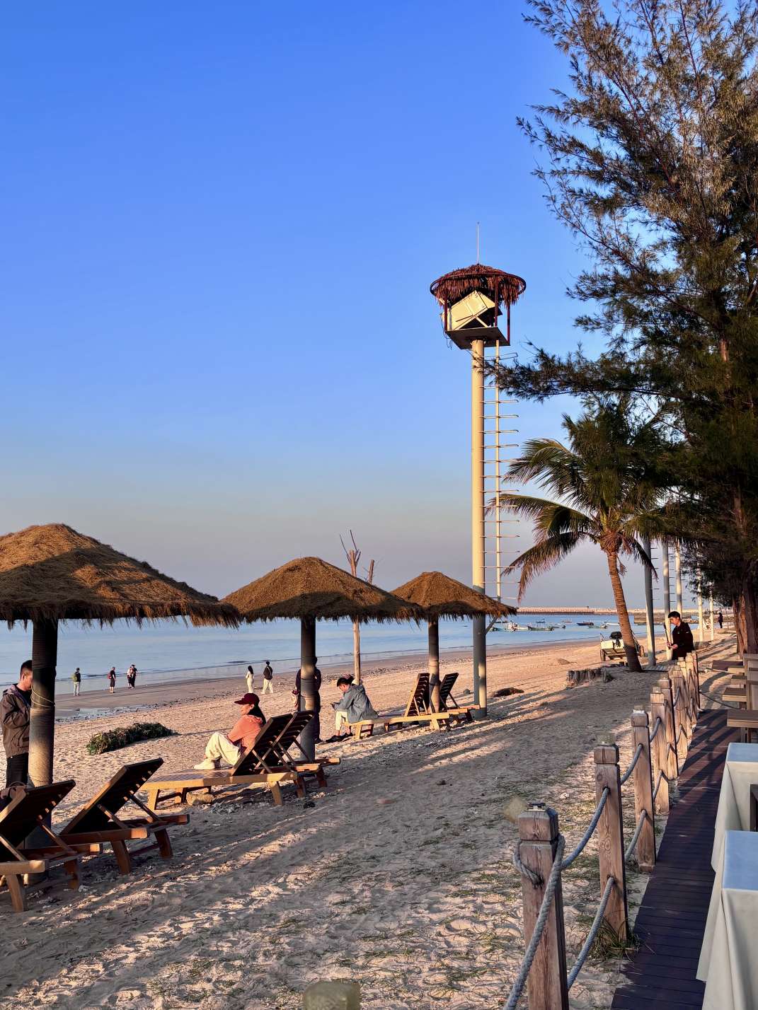 找旅游陪伴老伴搭子