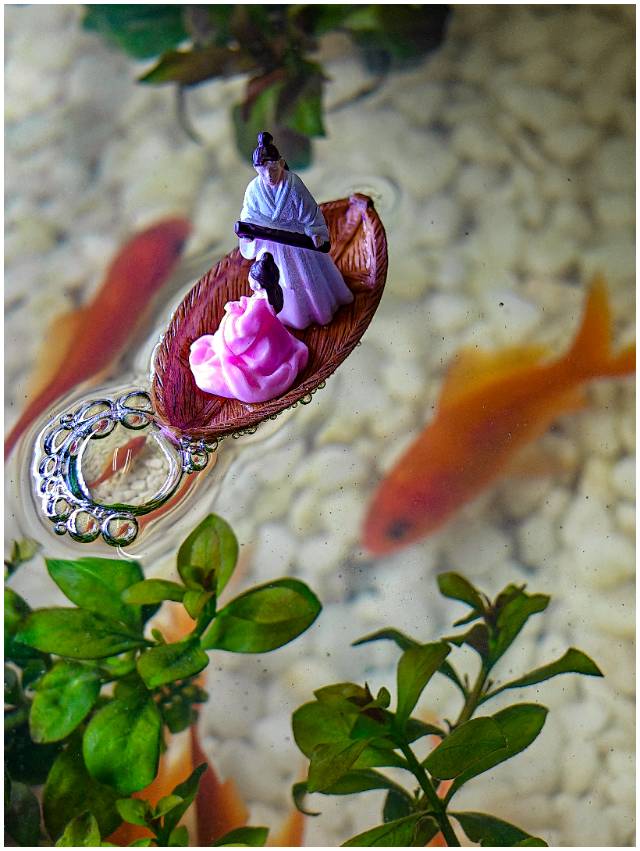 找走路摄影老伴搭子