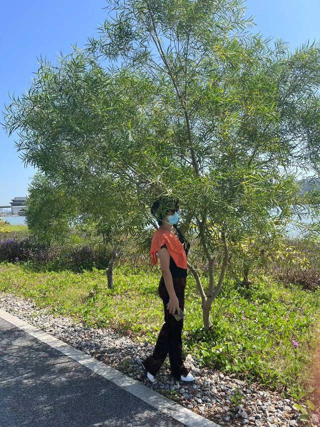 找兴趣相投老伴搭子