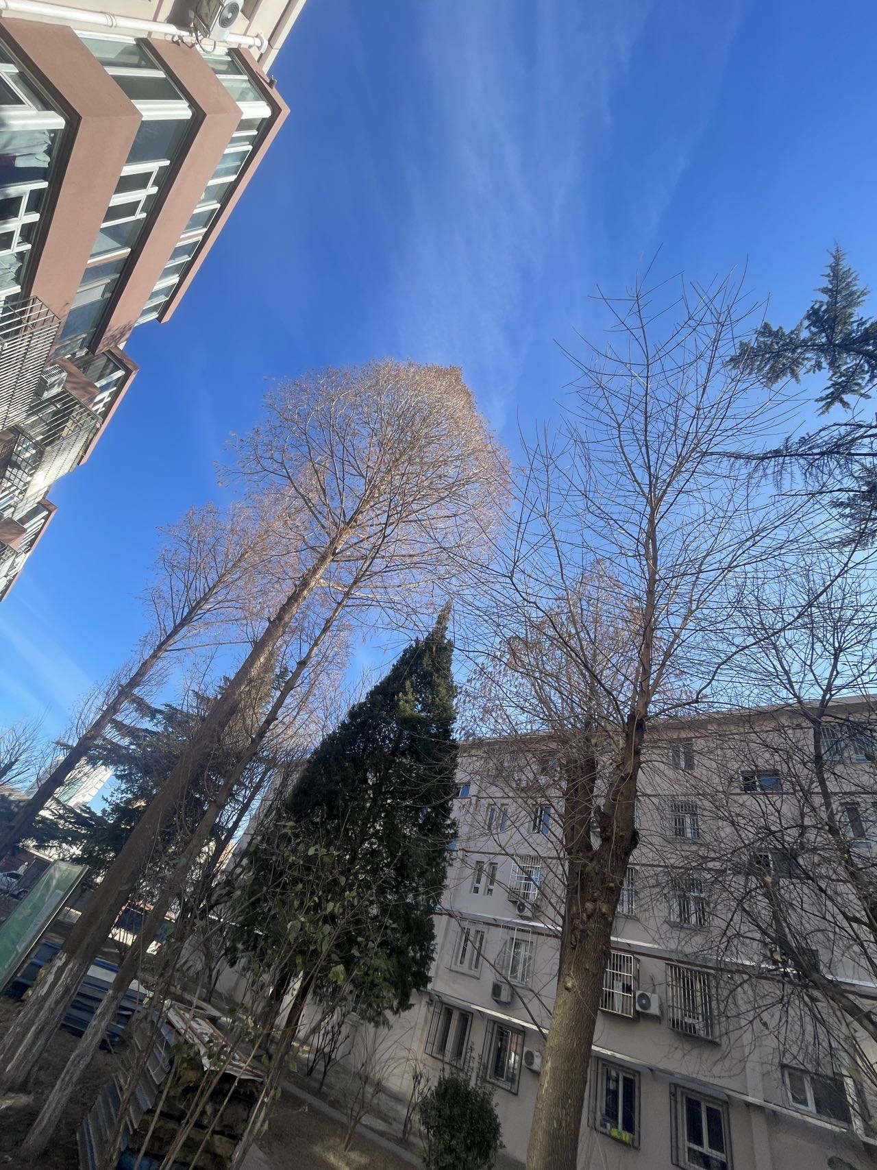 找吃饭老伴搭子