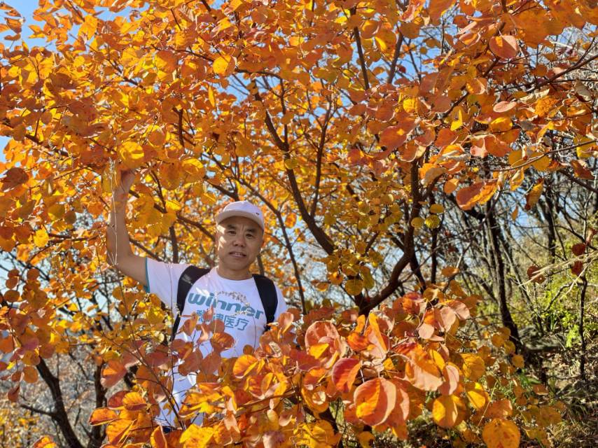 找附近的女知已老伴搭子