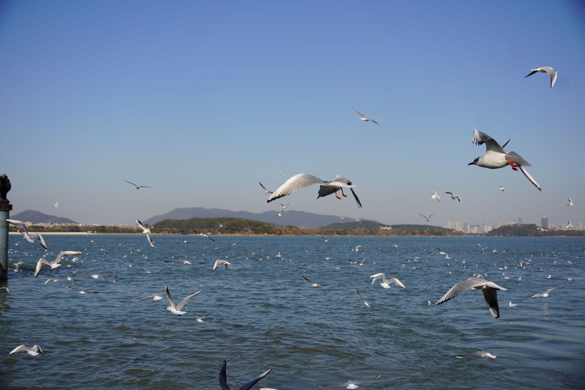 找运动老伴搭子