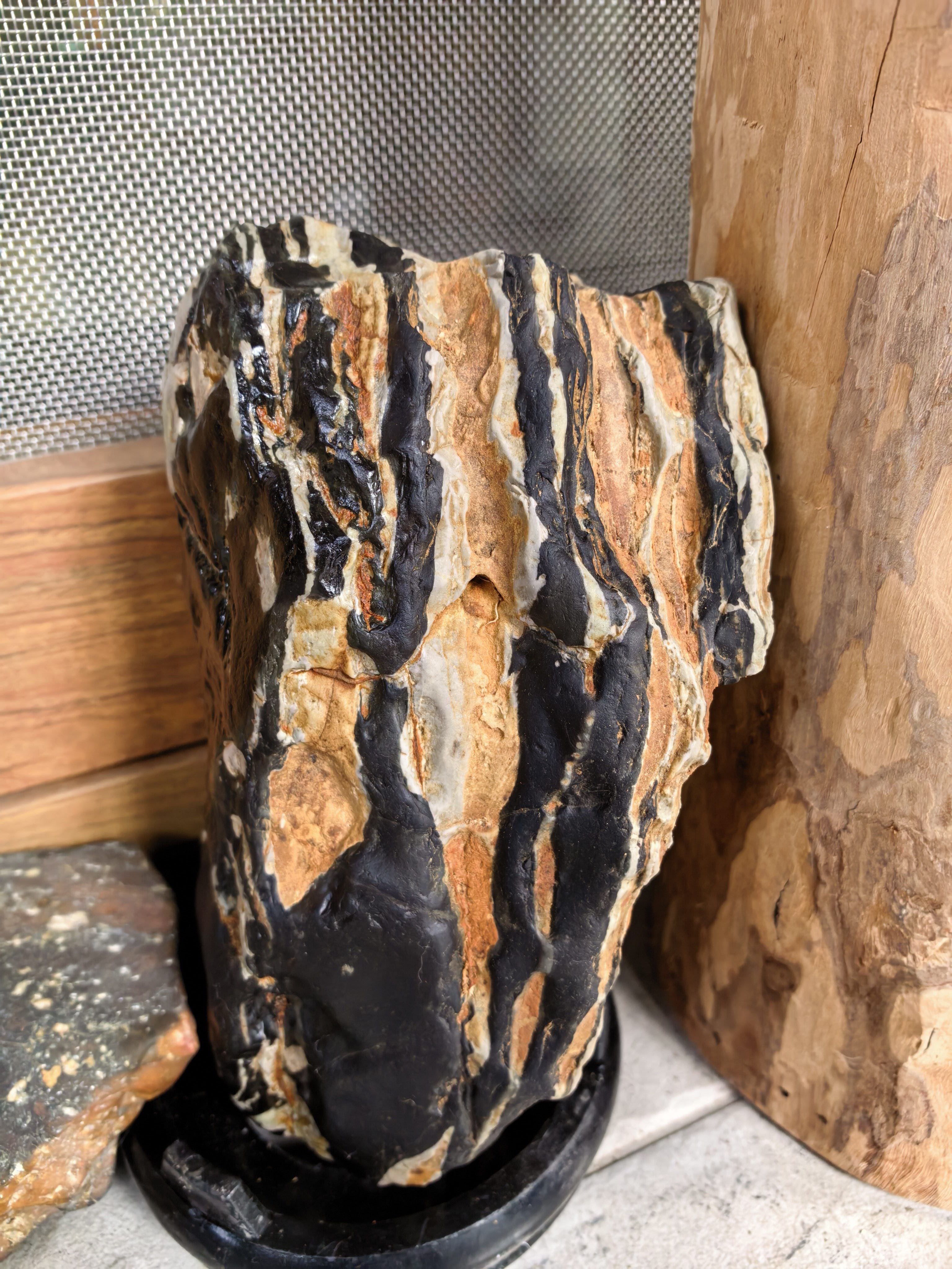 找游玩老伴搭子