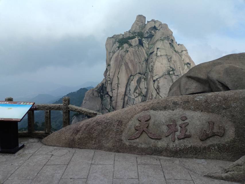 找生活老伴搭子