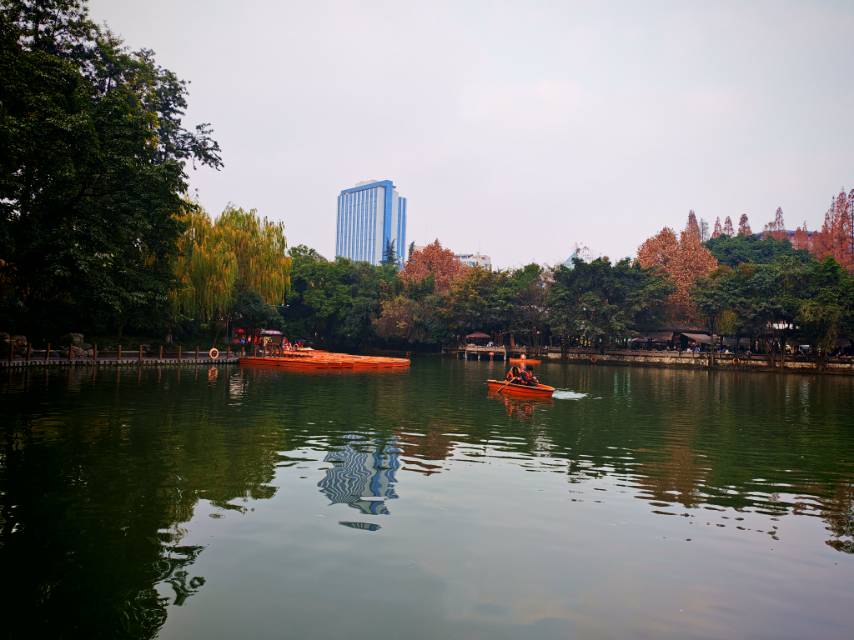 找旅行老伴搭子