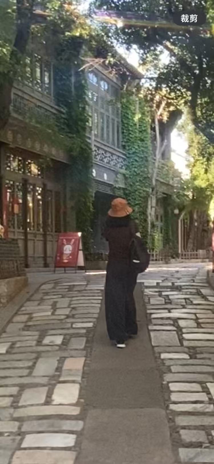 找生活伴侣老伴搭子