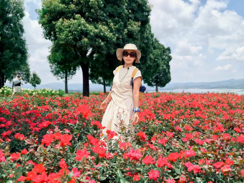 找生活老伴搭子