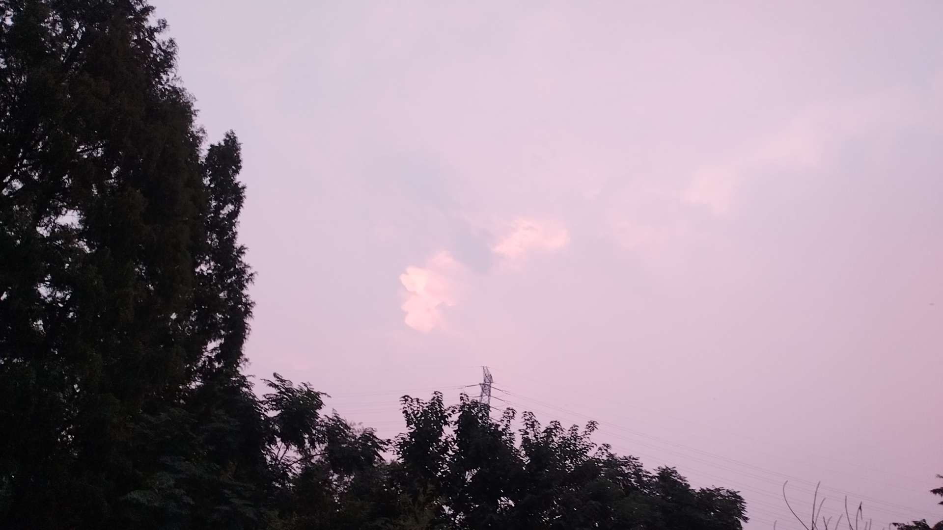 找旅游老伴搭子