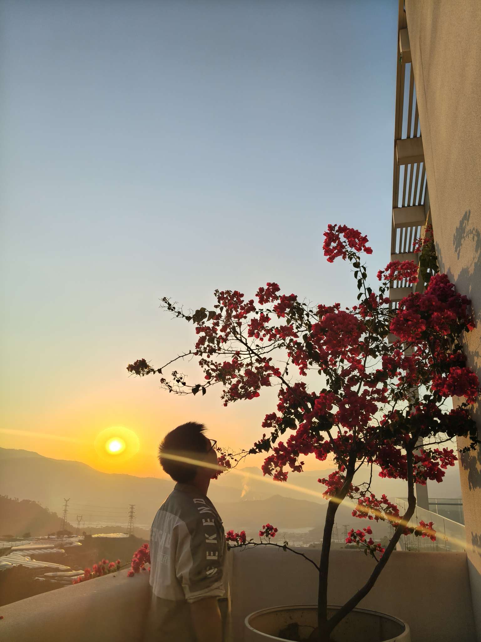 找大叔老伴搭子