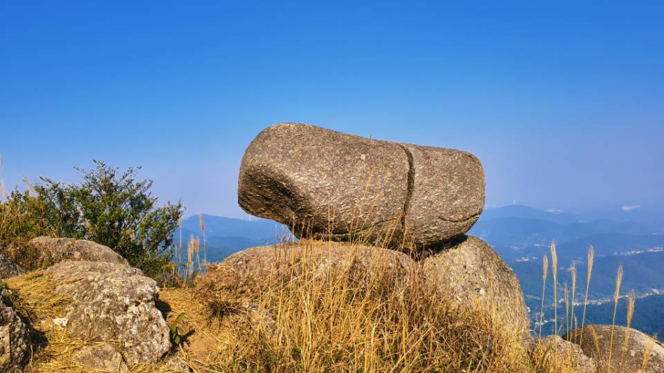 找旅游老伴搭子