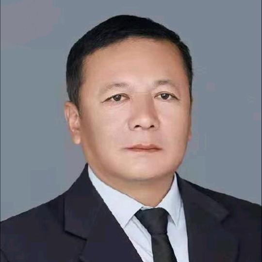 找聊天散步老伴搭子