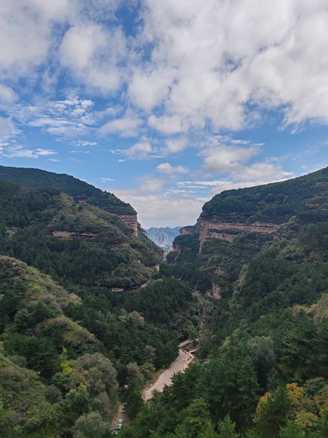 找美食老伴搭子