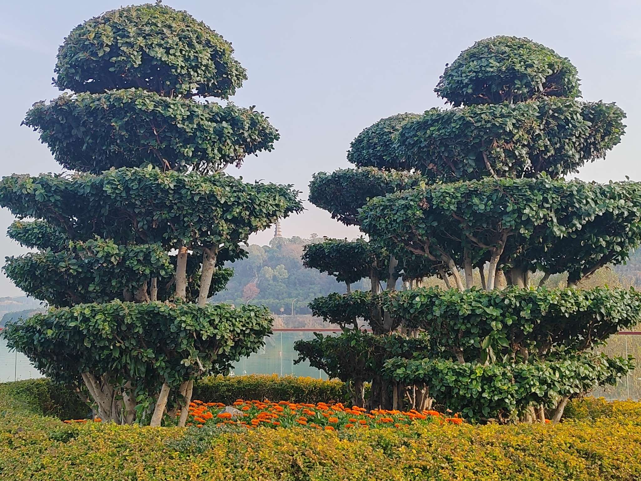 找旅游老伴搭子